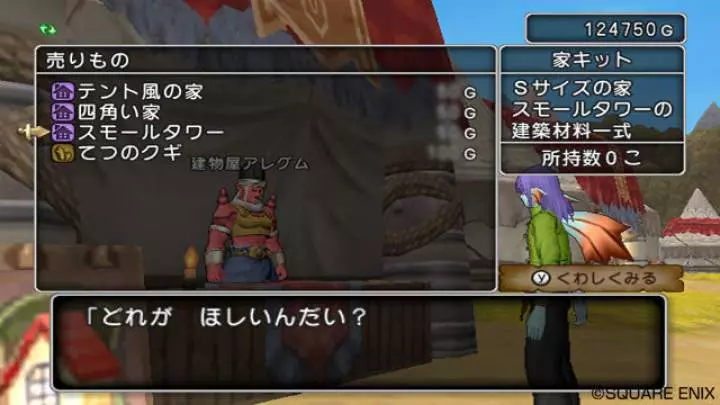Dragon Quest X
