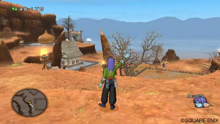 Dragon Quest X - Wii