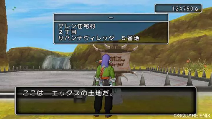 Dragon Quest X