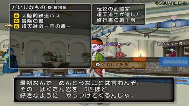 Dragon Quest X
