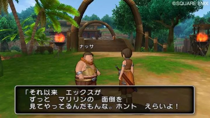 Dragon Quest X