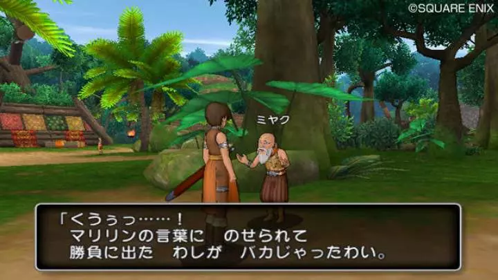 Dragon Quest X - Wii