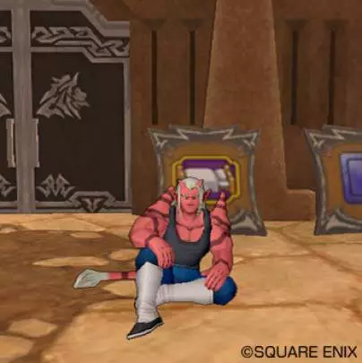 Dragon Quest X - Wii