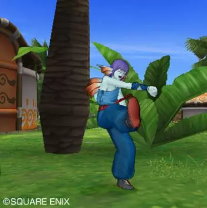 Dragon Quest X - Wii