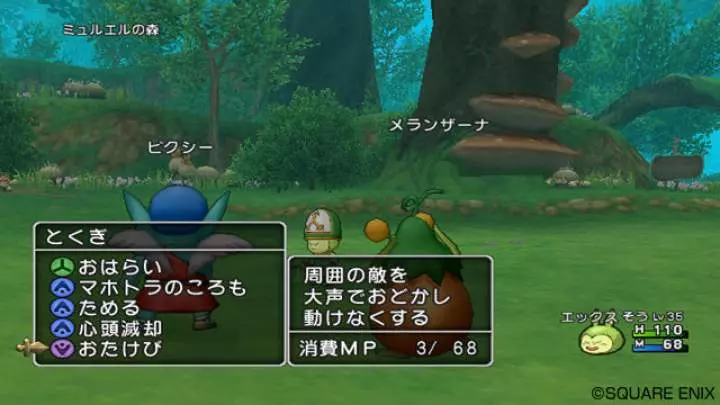 Dragon Quest X - Wii