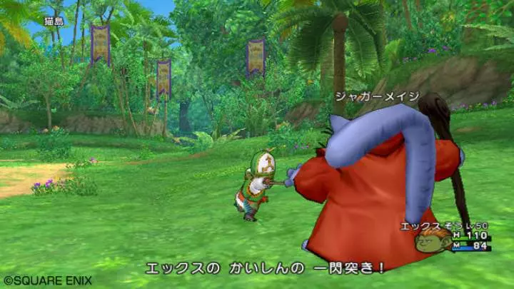 Dragon Quest X