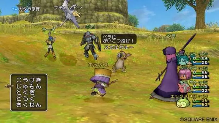 Dragon Quest X - Wii