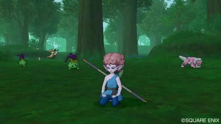 Dragon Quest X - Wii