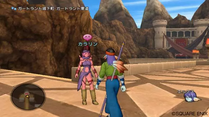 Dragon Quest X - Wii