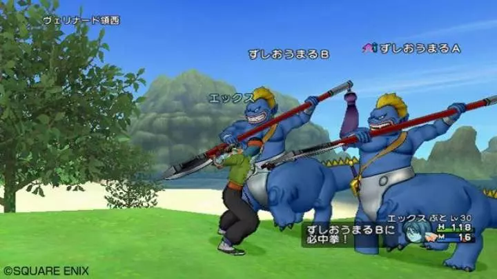 Dragon Quest X