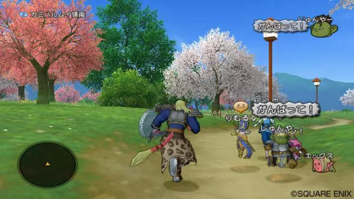 Dragon Quest X - Wii