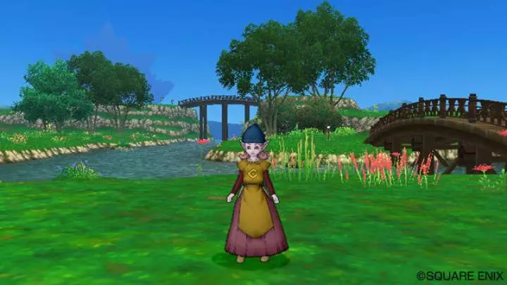 Dragon Quest X - Wii