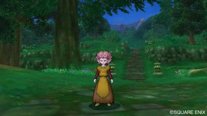 Dragon Quest X - Wii