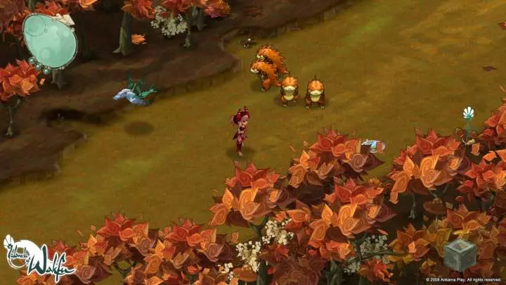 Islands of Wakfu