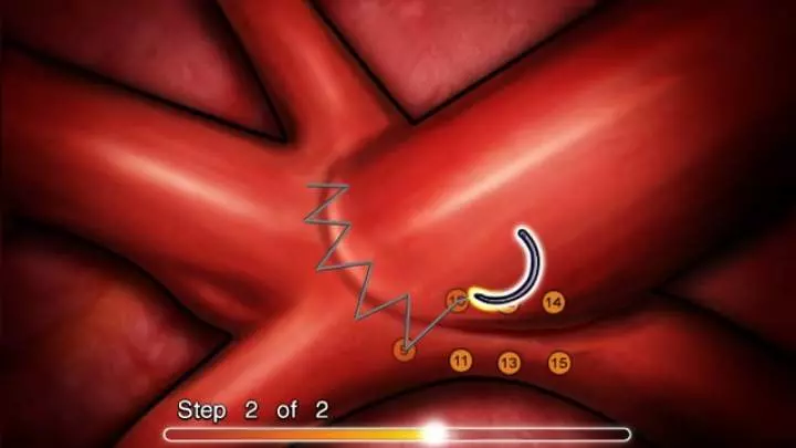 Anatomía de Grey El videojuego