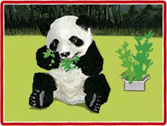 Animalz Mis Amigos los Pandaz - DS