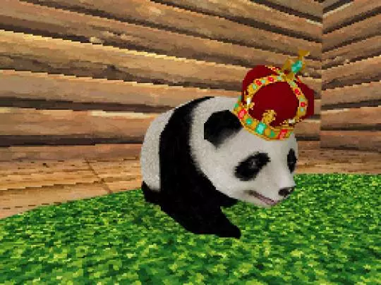 Animalz Mis Amigos los Pandaz