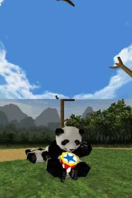 Animalz Mis Amigos los Pandaz