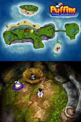 Puffins Island Adventure