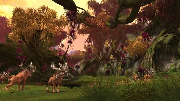 TERA True Action Combat - PC