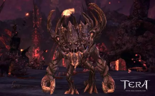 TERA True Action Combat