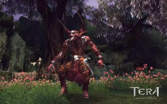 TERA: True Action Combat