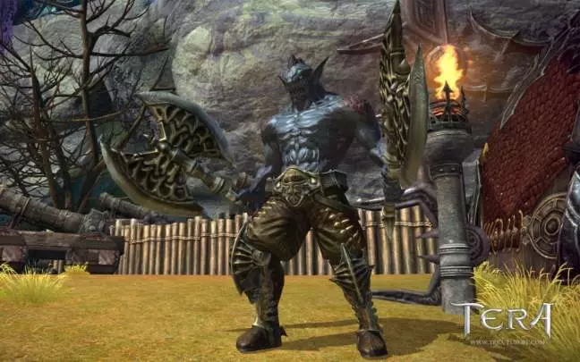 TERA True Action Combat