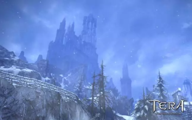 TERA True Action Combat