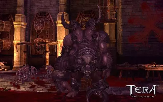 TERA True Action Combat