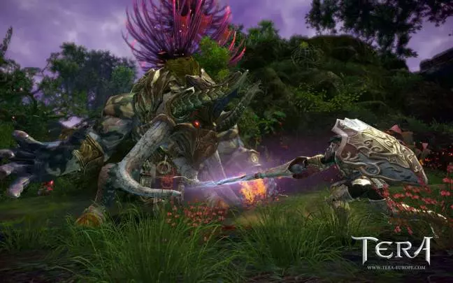 TERA True Action Combat