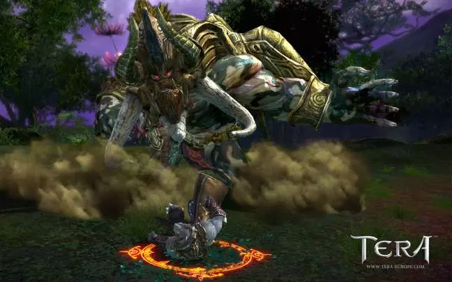 TERA True Action Combat