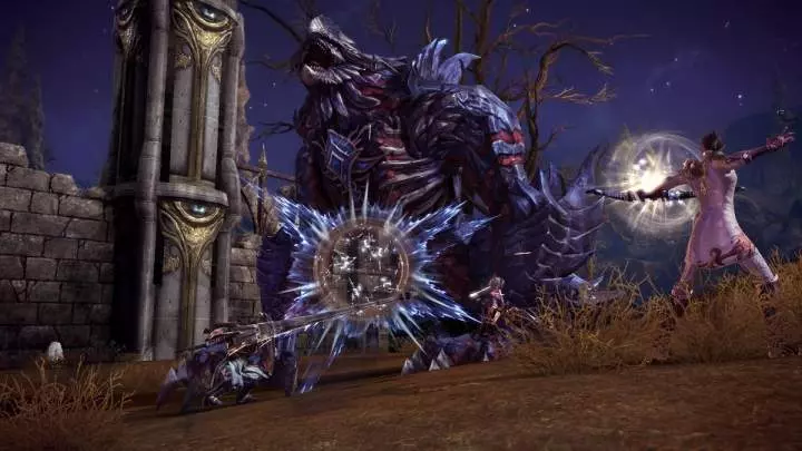 TERA True Action Combat