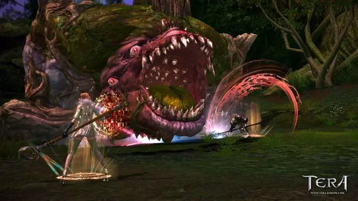 TERA True Action Combat - PC
