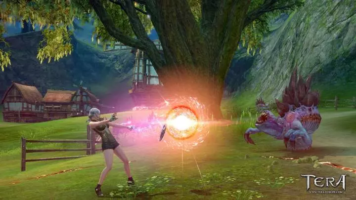TERA True Action Combat - PC