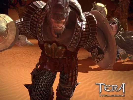 TERA True Action Combat