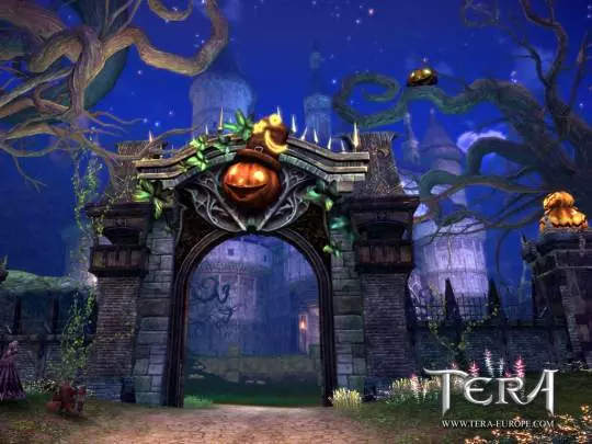TERA True Action Combat