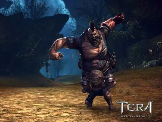 TERA True Action Combat - PC