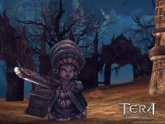 TERA True Action Combat