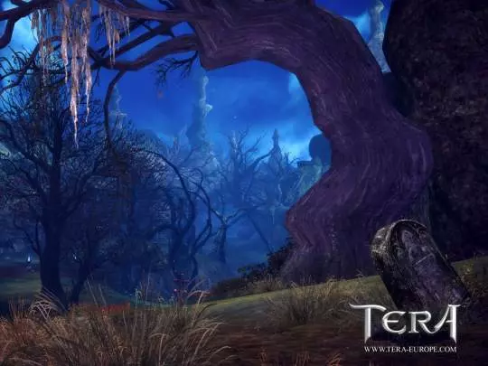 TERA True Action Combat