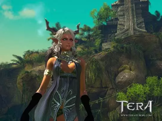 TERA True Action Combat