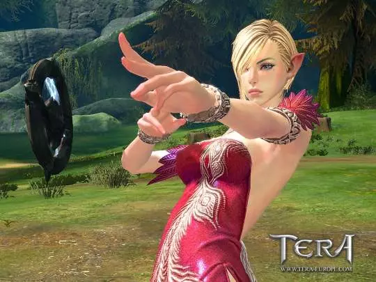 TERA: True Action Combat