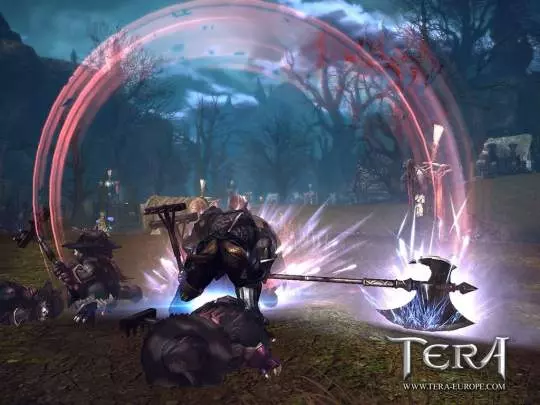TERA True Action Combat