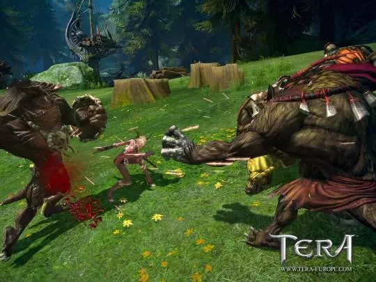 TERA True Action Combat