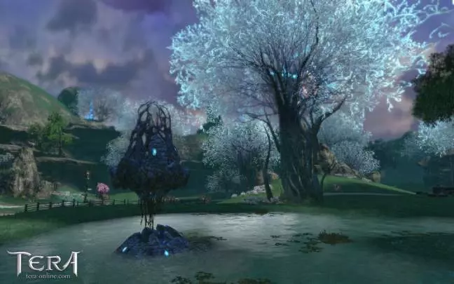 TERA True Action Combat