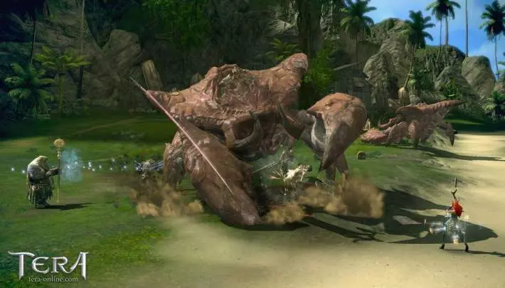 TERA True Action Combat