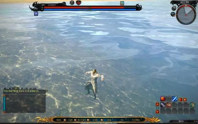 TERA True Action Combat