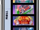 Pinball Dreaming - Pantalla