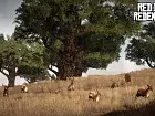 Red Dead Redemption - Pantalla