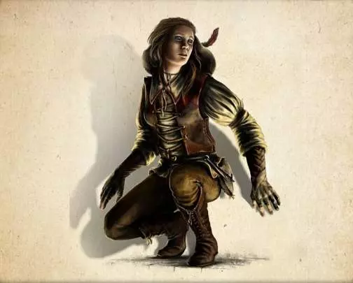 The Dark Eye: Demonicon