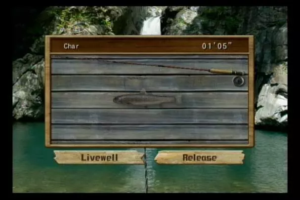 Reel Fishing Angler's Dream